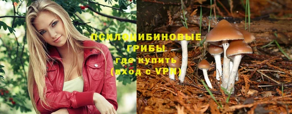 2c-b Киреевск