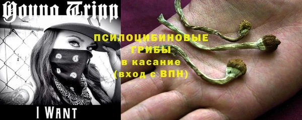 трава Киренск
